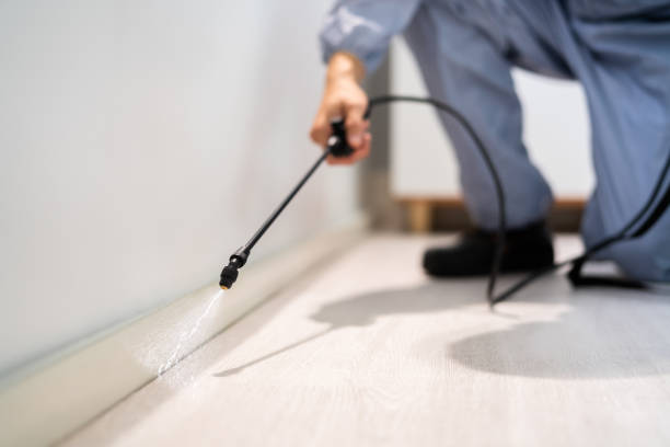 Licensed Termite Control service in Evansville, WY - Show Me Pest Control